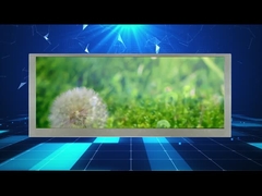 exhibición con pantalla grande del Lcd de 10,3 resoluciones de la pulgada 1280*480 para el monitor del coche