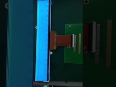 Exhibición monocromática del LCD