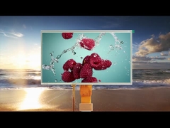 Todos los ángulos de visión 10.1 pulgadas módulos LCD táctiles resistivos