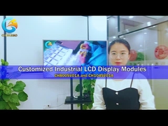 Modulo de visualización de LCD Tft de resolución 800*600 para la industria con interfaz RGB